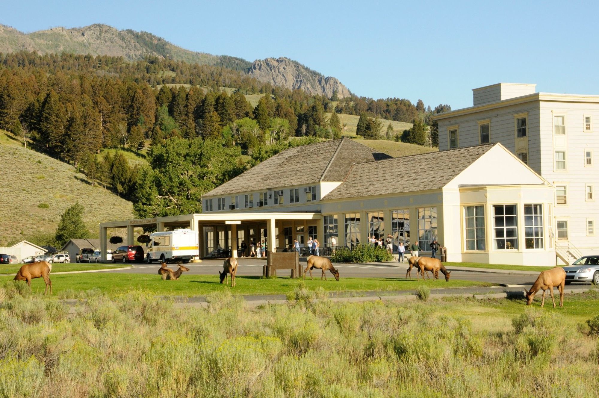 Mammoth Hot Springs Hotel Exterior foto